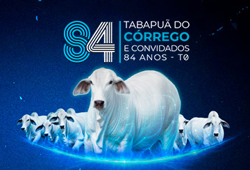 LEILÃO TABAPUÃ DO CÓRREGO E CONVIDADOS - 84 ANOS - T0